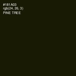 #181A03 - Pine Tree Color Image